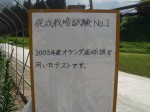 [zen No1 01 kan.JPG]
